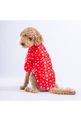 Pawstar Kırmızı Stars Orta ve Büyük Irk Köpek Montu Köpek Yağmurluk Köpek Elbisesi Köpek Kıyafeti - 4XL - Thumbnail
