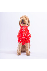 Pawstar Kırmızı Stars Orta ve Büyük Irk Köpek Montu Köpek Yağmurluk Köpek Elbisesi Köpek Kıyafeti - 5XL - Thumbnail
