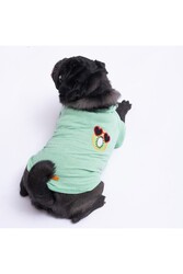 Pawstar Kiwi Polo Yaka Kedi Köpek T-shirt - Kedi Köpek Kıyafeti 2XL - Thumbnail