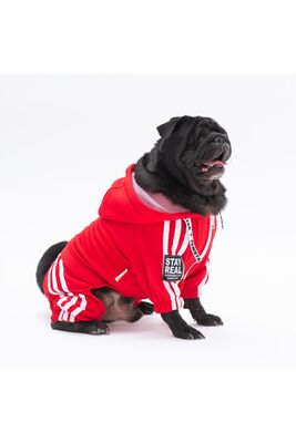 Pawstar - Pawstar Koyu Kırmızı Tuta Küçük Irk Köpek Tulumu Köpek Kıyafeti Köpek Eşofmanı Kedi Kıyafeti M