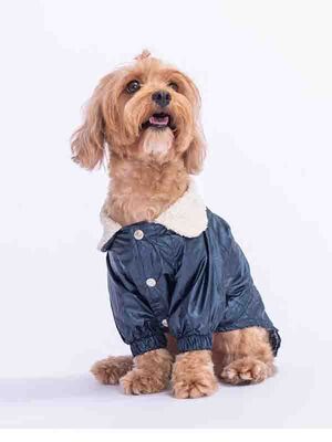 Pawstar - Pawstar Lacivert Brillante Köpek Montu Köpek Yağmurluk Köpek Kıyafeti Köpek Elbisesi XL
