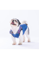 Pawstar Lacivert Diametro Puf Yelek Köpek Yeleği Köpek Kıyafeti Köpek Yağmurluk XL - Thumbnail