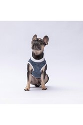 Pawstar Lacivert Space Time Kedi Köpek Tişörtü - Kedi Köpek Kıyafeti XL - Thumbnail
