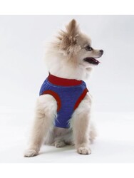 Pawstar Lacivert Summer Time Kedi Köpek Tişörtü - Kedi Köpek Kıyafeti 2XL - Thumbnail