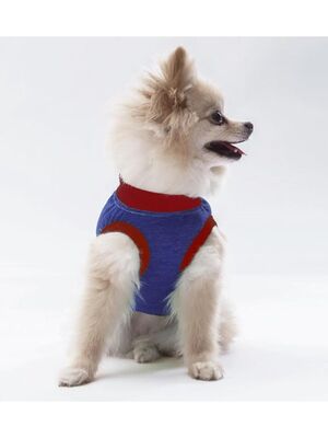 Pawstar - Pawstar Lacivert Summer Time Kedi Köpek Tişörtü - Kedi Köpek Kıyafeti 2XL