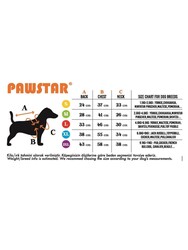 Pawstar Lacivert Summer Time Kedi Köpek Tişörtü - Kedi Köpek Kıyafeti XL - Thumbnail