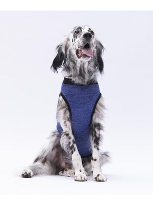 Pawstar - Pawstar Lacivert Travel Büyük Köpek Tişörtü - Köpek Kıyafeti (15 KG-45 KG)