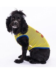 Pawstar Life Mesh Kedi Köpek Tişörtü - Kedi Köpek Kıyafeti Small - Thumbnail