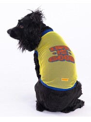 Pawstar Life Mesh Kedi Köpek Tişörtü - Kedi Köpek Kıyafeti XLarge - Thumbnail