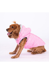 Pawstar Light Wave Anorak Yelek Köpek Yeleği Köpek Kıyafeti Köpek Yağmurluk - 2XL - Thumbnail