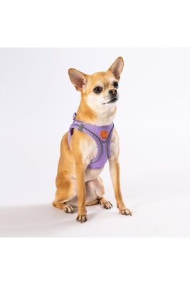 Pawstar - Pawstar Lila Air-mesh Göğüs Tasması Kedi Köpek Göğüs Tasması 2XSmall