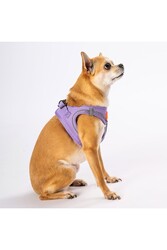 Pawstar Lila Air-mesh Göğüs Tasması Kedi Köpek Göğüs Tasması 2XSmall - Thumbnail