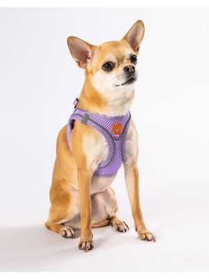 Pawstar - Pawstar Lila Air-mesh Göğüs Tasması Kedi Köpek Göğüs Tasması Large