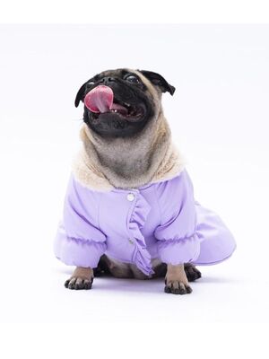 Pawstar - Pawstar Lila Elizabeth Köpek Mont Köpek Yağmurluk Köpek Kıyafeti Köpek Elbisesi 2XL