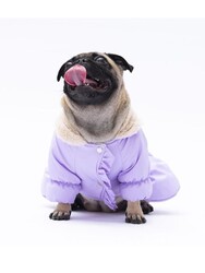 Pawstar Lila Elizabeth Köpek Mont Köpek Yağmurluk Köpek Kıyafeti Köpek Elbisesi XL - Thumbnail