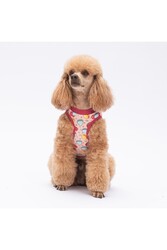 Pawstar Love Macarons Kedi Köpek Tişörtü - Kedi Köpek Kıyafeti 2xl - Thumbnail