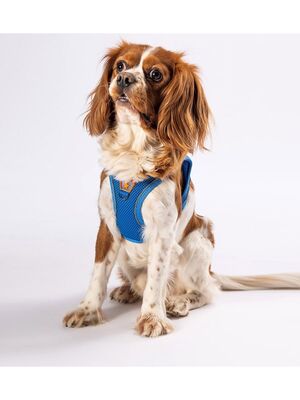Pawstar - Pawstar Mavi Air-mesh Göğüs Tasması Kedi Köpek Göğüs Tasması 2XS
