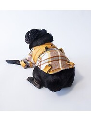 Pawstar Mavi Plaid e Pelle Kedi Köpek Ceketi Kedi Köpek Kıyafeti Kedi Köpek Elbisesi - M - Thumbnail