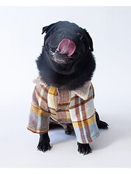 Pawstar Mavi Plaid e Pelle Kedi Köpek Ceketi Kedi Köpek Kıyafeti Kedi Köpek Elbisesi - XL - Thumbnail