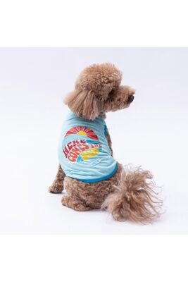 Pawstar - Pawstar Mavi The Sun Kedi Köpek Tişörtü - Kedi Köpek Kıyafeti 2xl