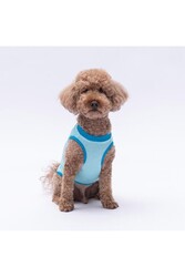 Pawstar Mavi The Sun Kedi Köpek Tişörtü - Kedi Köpek Kıyafeti 2xl - Thumbnail