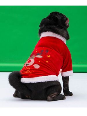 Pawstar - Pawstar Merry Christmas Küçük ve Orta Irk Köpek Sweati Köpek Kıyafeti - M