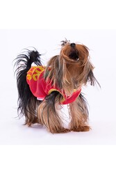 Pawstar Mesh Kedi Köpek Tişörtü - Kedi Köpek Kıyafeti 2XLarge - Thumbnail