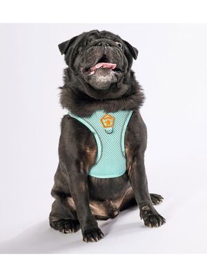 Pawstar - Pawstar Mint Air-mesh Göğüs Tasması Kedi Köpek Göğüs Tasması M