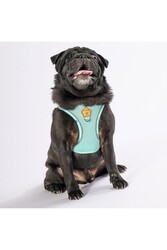 Pawstar Mint Air-mesh Göğüs Tasması Kedi Köpek Göğüs Tasması XL - Thumbnail