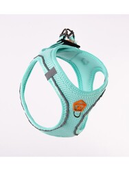 Pawstar Mint Air-mesh Göğüs Tasması Kedi Köpek Göğüs Tasması XL - Thumbnail
