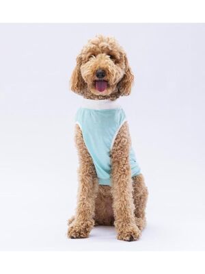 Pawstar - Pawstar Mint Joy Büyük Köpek Tişörtü - Köpek Kıyafeti (15 KG-45 KG) 4XL
