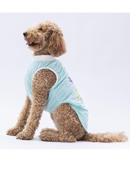 Pawstar Mint Joy Büyük Köpek Tişörtü - Köpek Kıyafeti (15 KG-45 KG) 4XL - Thumbnail