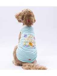 Pawstar Mint Joy Büyük Köpek Tişörtü - Köpek Kıyafeti (15 KG-45 KG) 4XL - Thumbnail