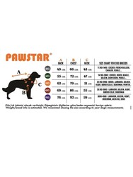 Pawstar Mint Joy Büyük Köpek Tişörtü - Köpek Kıyafeti (15 KG-45 KG) 4XL - Thumbnail