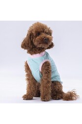 Pawstar Mint Joy Kedi Köpek Tişörtü - Kedi Köpek Kıyafeti 2XL - Thumbnail