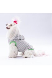 Pawstar Mint Sunny Kapşonlu Kedi Köpek Tişörtü - Kedi Köpek Kıyafeti XL - Thumbnail
