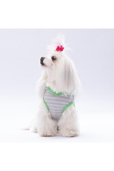 Pawstar Mint Sunny Kapşonlu Kedi Köpek Tişörtü - Kedi Köpek Kıyafeti XL - Thumbnail