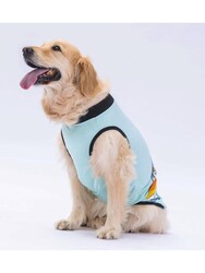 Pawstar Mint Sunrise Büyük Köpek Tişörtü - Köpek Kıyafeti (15 KG-45 KG) - Thumbnail