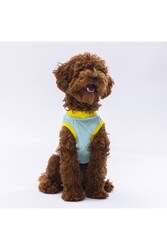 Pawstar Mint Sunrise Kedi Köpek Tişörtü - Kedi Köpek Kıyafeti L - Thumbnail