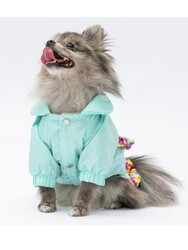 Pawstar Mint Victoria Köpek Mont Köpek Yağmurluk Köpek Kıyafeti Köpek Elbisesi XL - Thumbnail