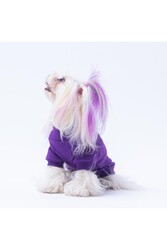 Pawstar Mor Ice Cream Dondurma Nakışlı Esnek Kedi Köpek Sweat- Kedi Köpek Kıyafeti XL - Thumbnail