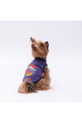 Pawstar - Pawstar Mor The Sun Kedi Köpek Tişörtü - Kedi Köpek Kıyafeti M