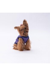 Pawstar Mor The Sun Kedi Köpek Tişörtü - Kedi Köpek Kıyafeti M - Thumbnail