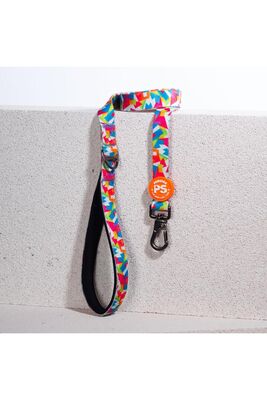 Pawstar - Pawstar Mosaic Leash Kedi Köpek Sevk & Gezdirme Kayışı Köpek Uzatma Tasması 2x120 cm