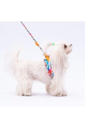 Pawstar Mosaic Leash Kedi Köpek Sevk & Gezdirme Kayışı Köpek Uzatma Tasması 2x120 cm - Thumbnail