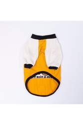 Pawstar Mustard-Hardal Baby Teddy Sweat Kedi Köpek Sweati - Kedi Köpek Kıyafeti 2XL - Thumbnail