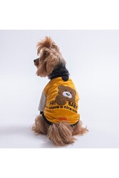 Pawstar Mustard-Hardal Baby Teddy Sweat Kedi Köpek Sweati - Kedi Köpek Kıyafeti L - Thumbnail