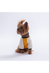 Pawstar Mustard-Hardal Baby Teddy Sweat Kedi Köpek Sweati - Kedi Köpek Kıyafeti L - Thumbnail