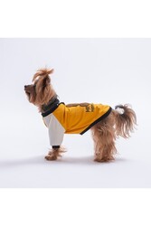 Pawstar Mustard-Hardal Baby Teddy Sweat Kedi Köpek Sweati - Kedi Köpek Kıyafeti M - Thumbnail