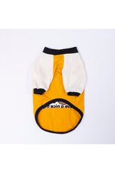 Pawstar Mustard-Hardal Baby Teddy Sweat Kedi Köpek Sweati - Kedi Köpek Kıyafeti M - Thumbnail